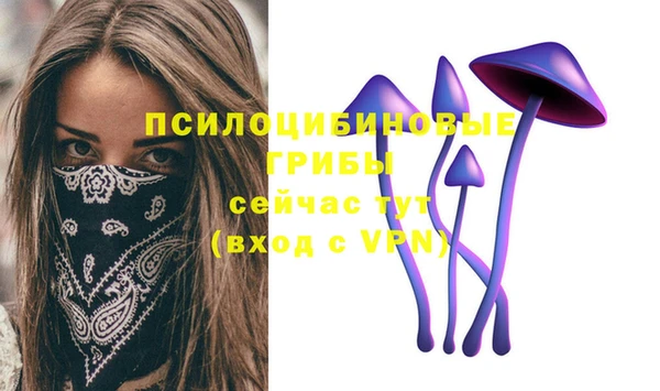 мяу мяу мука Белоозёрский