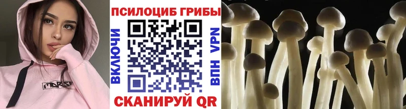 Псилоцибиновые грибы GOLDEN TEACHER  продажа наркотиков  Щигры 