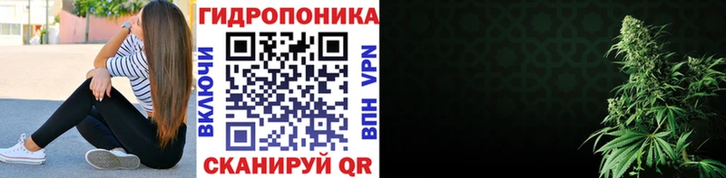 купить закладку  Щигры  Бошки марихуана тримм 